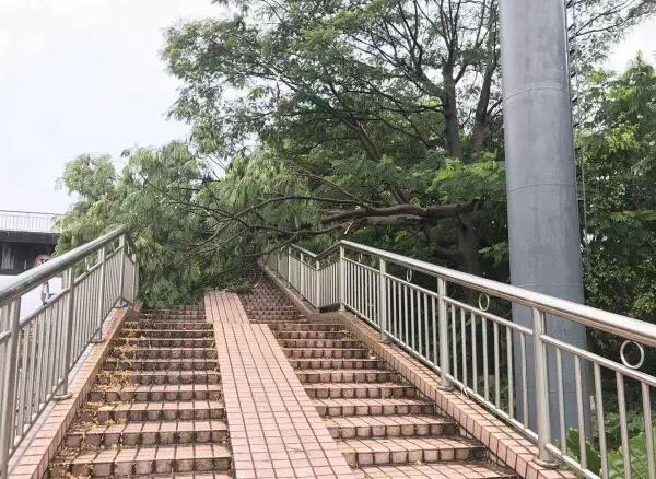 “天鴿”登陸了又怎樣，智彤印刷正常發(fā)放福利！
